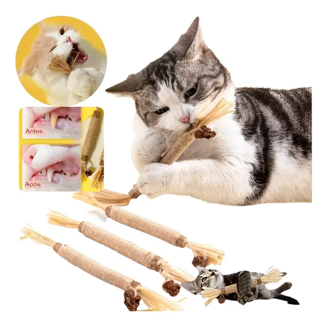 Vara Catnip Limpa Dente Gato Pet Brinquedo Morder Matatabi