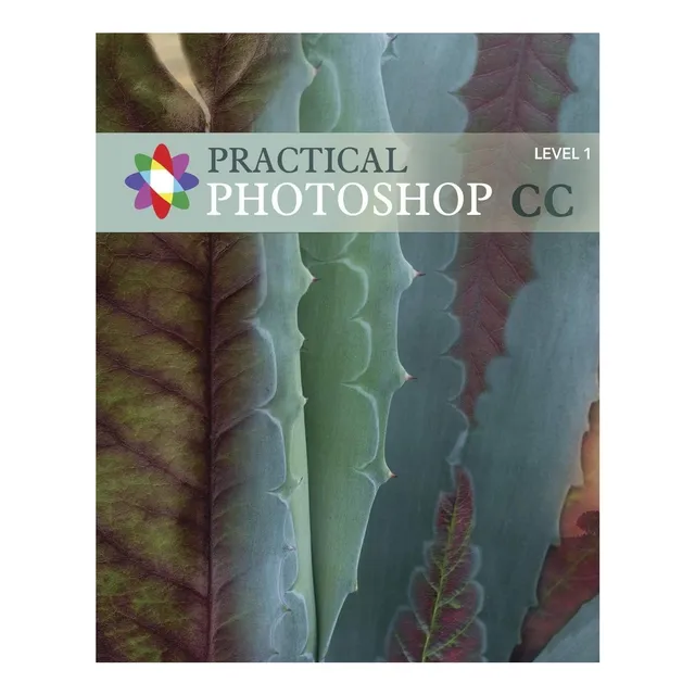 Libro: Photoshop Cc Práctico Nivel 1: Photoshop Práctico 1