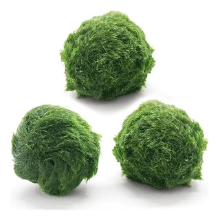 Bolas Verdes Vivas Para Ver Plantas Acuáticas Reales, Color Bolas Verdes Vivas Para Ver Plantas Acuáticas Reales, Color