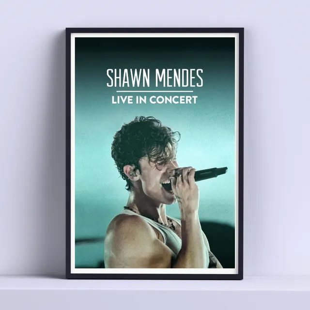 Cuadro Shawn Mendes Concierto  Deco 30x40cm Listo P Colgar