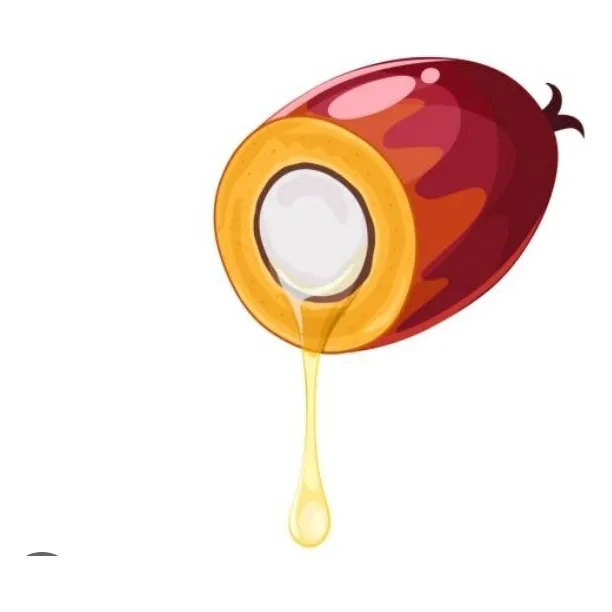 Aceite De Palmiste Refinado Para Chocolateria