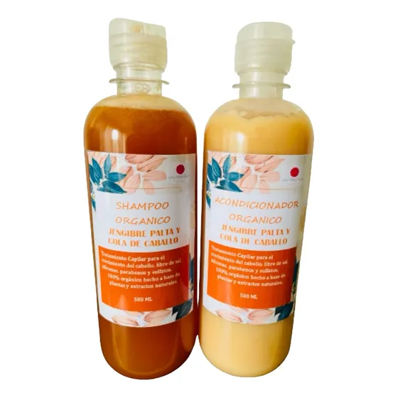Shampoo De Jengibre & Palta Orgánico 100% Natural