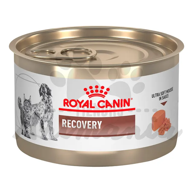 6 X Latas Royal Canin Recovery Perros Y Gatos 145gr. Np