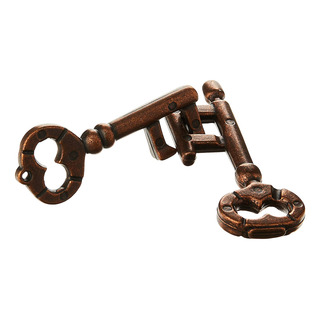 Clave Hanayama Cast Metal Brain Teaser Puzzle (nivel 1) Clave Hanayama Cast Metal Brain Teaser Puzzle (nivel 1)