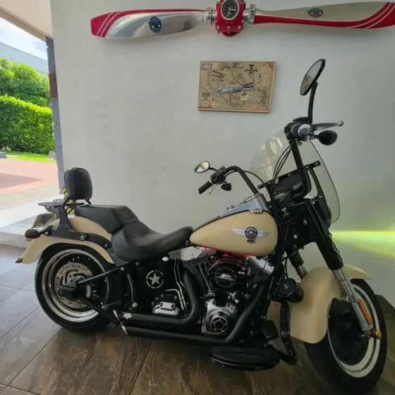 Harley Davidson Fat Boy Color Sankama