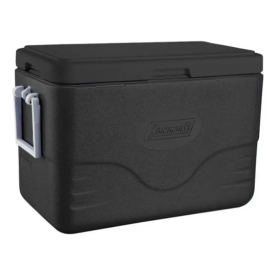 Caixa Térmica 101387281968 26,5 L Personal All Black Coleman