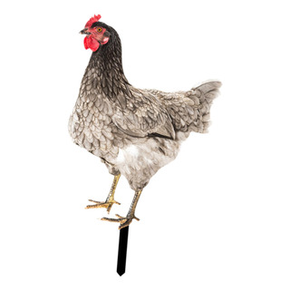 Estatua De Jardín De Pollo, Estaca De Gallo, Estilo C Estatua De Jardín De Pollo, Estaca De Gallo, Estilo C