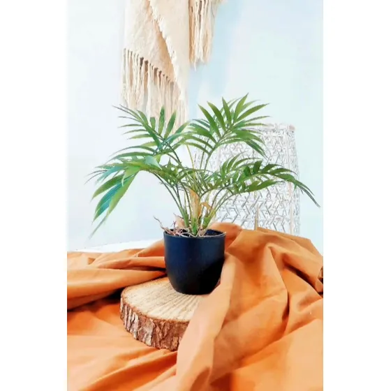 Planta Artificial Deco Escritorio Cocina Baño Con Maceta