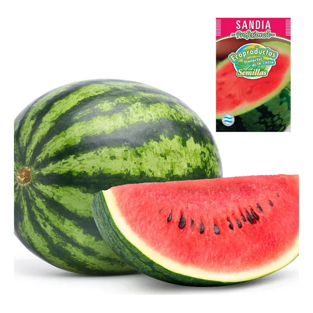 Semillas Sandia Huerta Cultivo Hortalizas Ecoproductos