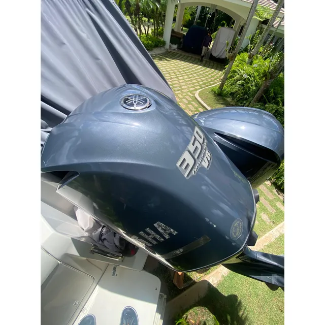 Motor Yamaha 350 Año 2007