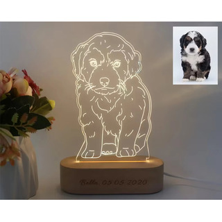 Nuevo Retrato Acrílico Con Lámpara Led Con Foto De Regalo Pe Nuevo Retrato Acrílico Con Lámpara Led Con Foto De Regalo Pe
