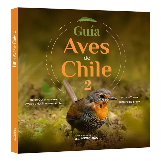 Guía De Aves De Chile 2 - Amalia Torres