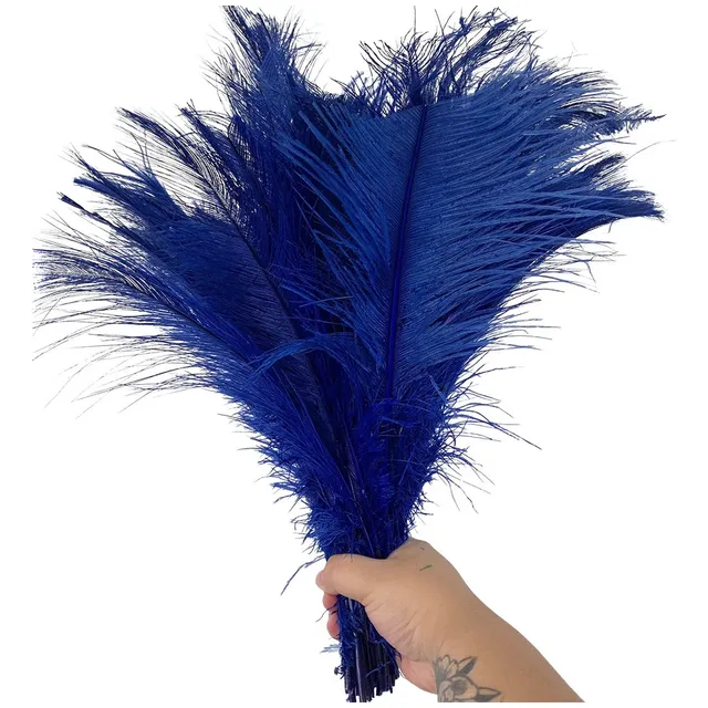 Plumas Avestruz Tipo Palito 100g Ideal P/ Trajes De Carnaval