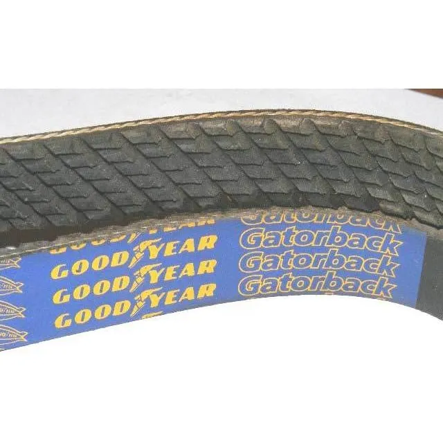 Correa Unica Ford Fiesta 1.25 1.3 Balita Enduro 1996-1998