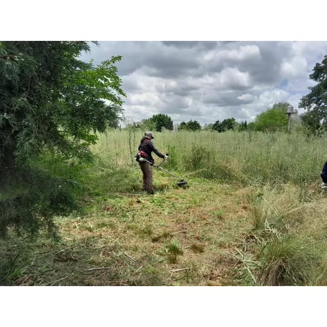 Desmalezado - Corte De Césped - Limpieza De Terrenos