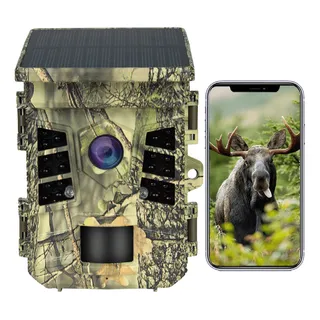 Cámara 1080p Long Trail Wildlife Cam Night Energy Con 4k Cámara 1080p Long Trail Wildlife Cam Night Energy Con 4k