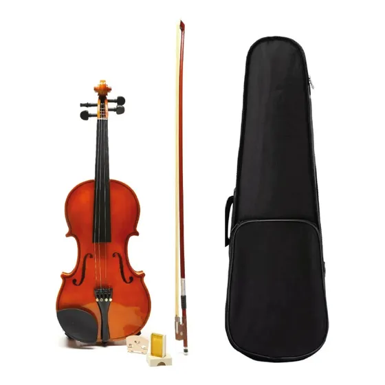 Violín Palatino 4/4 Completo Madera Estudio Con Estuche Arco Resina Color Marrón