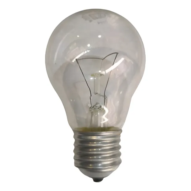 Lámpara Incandescente 100w Pack X10 Philips Incubadora