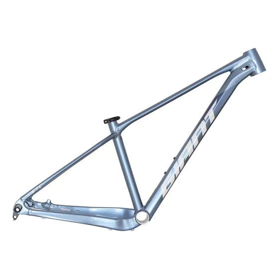 Cuadro Bicicleta Giant Xtc Slr 29 Talle L Frost Silver Avant