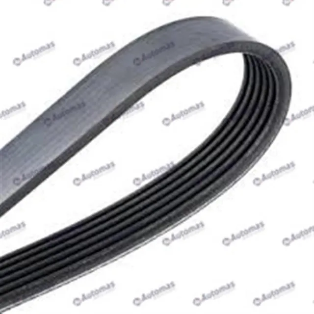 Faja Unica De Accesorios   Volkswagen Jetta 1994-2000