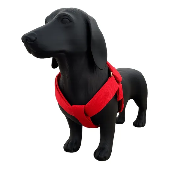 Maniquí De Perro Salchicha Tamaño Real Ideal Para Petshop