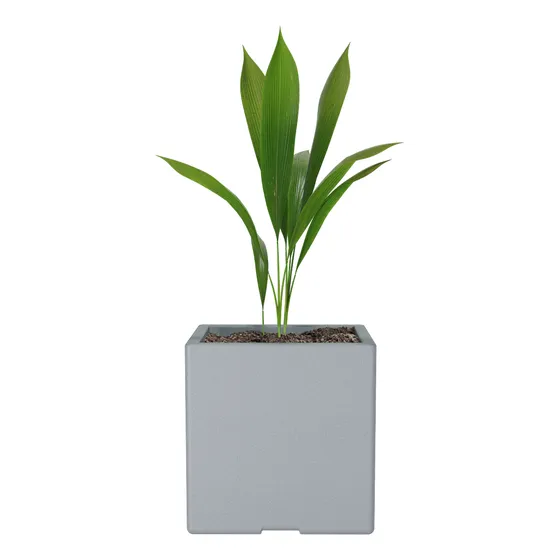 Maceta De Plástico Rotomoldeada Amalfi Modelo Cubo N30 De 30x30x30 Cm Y 25 Litros Color Gris Perla