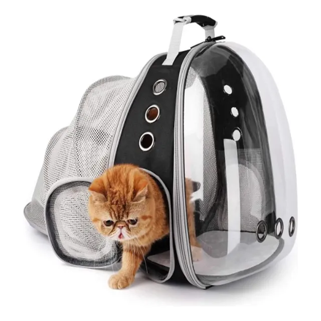 Morral Maleta Mochila Expandible Transparente Gato