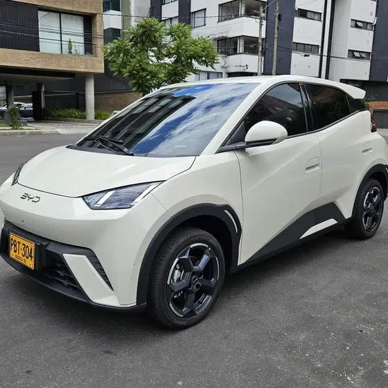 BYD Seagull Ev 2025 0.0 Gs 400