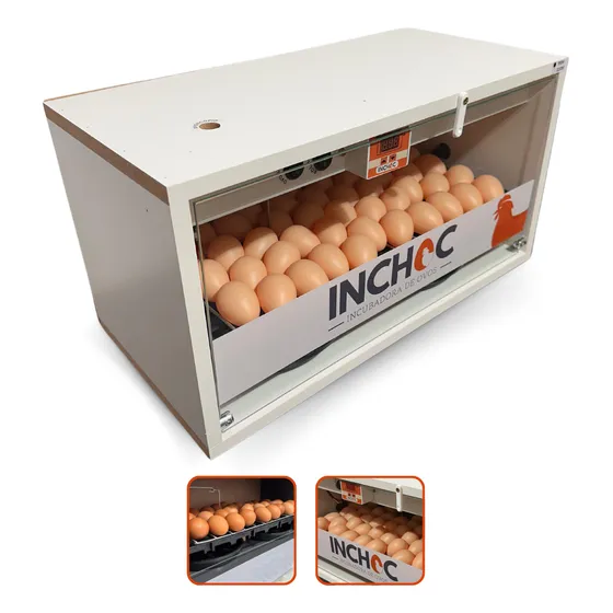 Incubadora De 50 Ovos Chocadeira Automatica Varias Aves