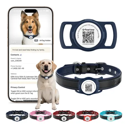 Coleira Couro Legítimo Caes Para Pitbull + Capa Case Protetora Silicone Para Airtag - Para Cães Médio Porte Com Pawview Plaquinha Identificação Pet Cachorro, Ajustável, Qr,confortável Azul M