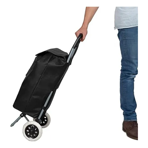 Chismosa Bolso Carro Para Feria Con Ruedas Grandes Manija