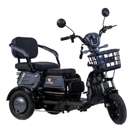 Triciclo Eletrico Adulto Cadeira Idoso 1000w Mobilidade Cinza 110v/220v