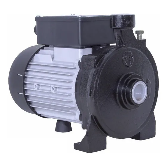 Bomba centrífuga centrífuga monofásica Fluvial Altura FC 100 1hp color negro/gris 220V
