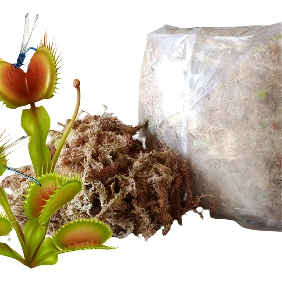 Musgo Sphagnum Fresco Para Carnívoras - 10 Kg Sphagnum Chile