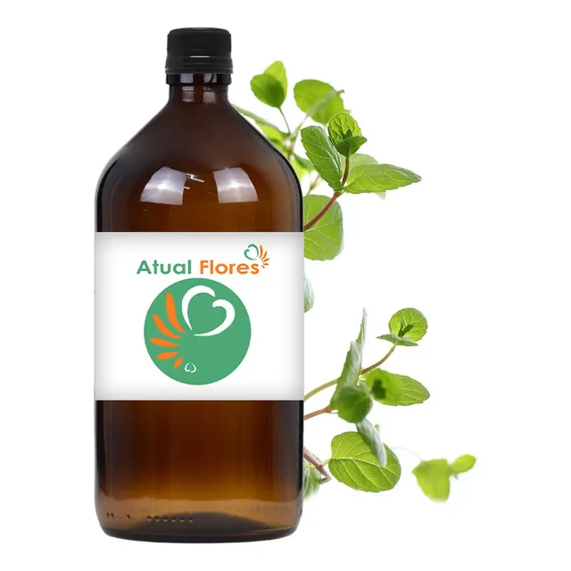 Essência Concentrada P/ Aromatizadores 1 Litro - Melissa
