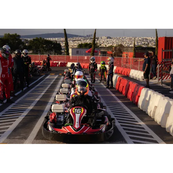 Go Karts 270cc | Seminuevos Motor Honda Gx270