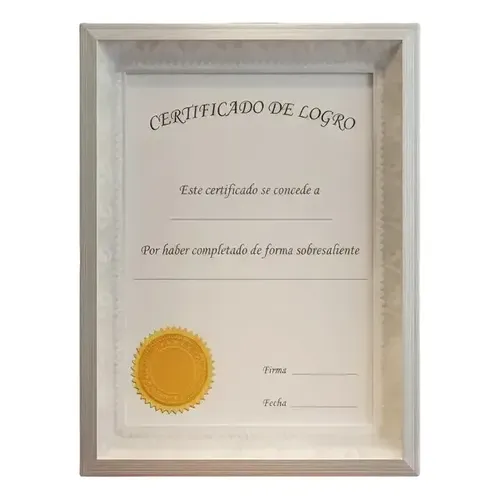6 Marcos De Fotos De 23 X 30 Cm Diplomas, Fotos Plateado