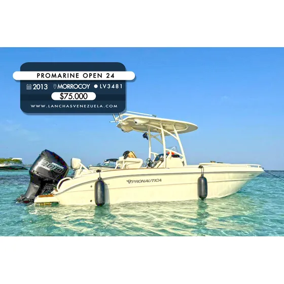Promarine Open 24 Lv3481
