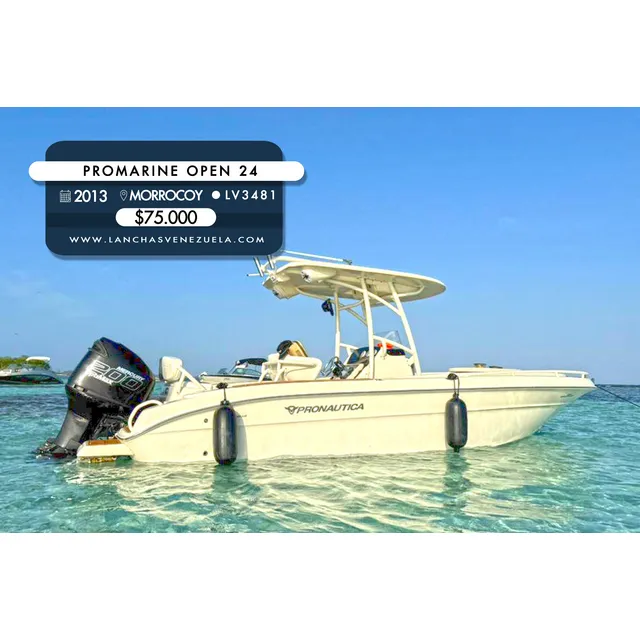 Promarine Open 24 Lv3481