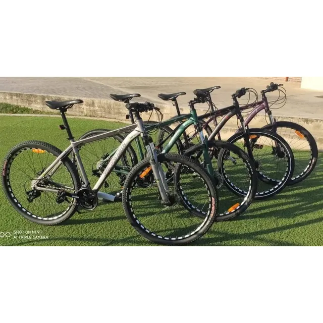 Bicicleta Bicystar R29