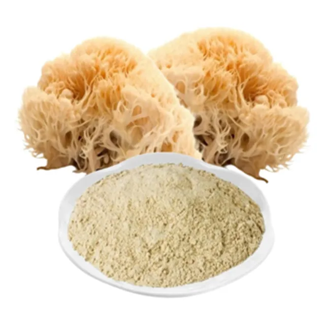 Melena De León Hongo En Extracto Atomizado Polvo 1 Kg Melena De León