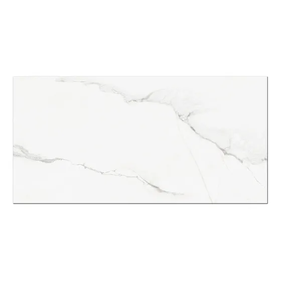 Porcelanico Pulido Espejo Antimanchas 60x120 Importado