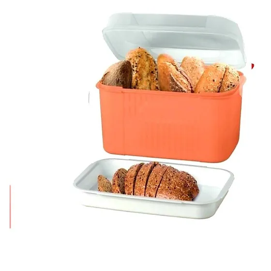 Tupper Caixa Visual Box Grande  Organizadora 