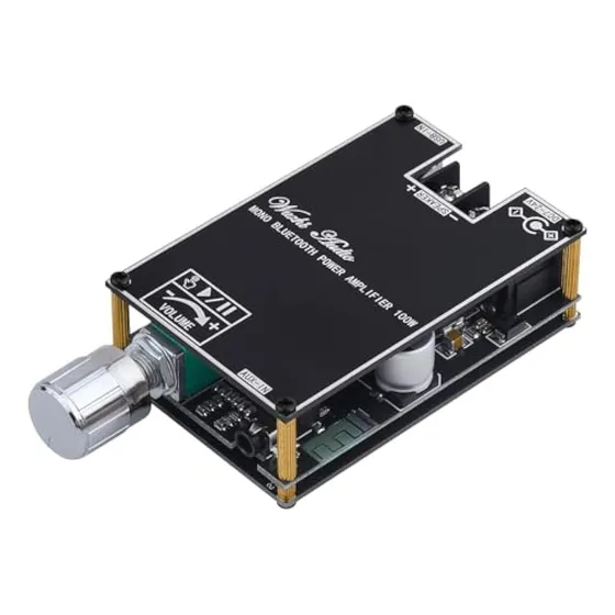 Tablero Amplificador Bluetooth, 100 W Mono Amp Tws