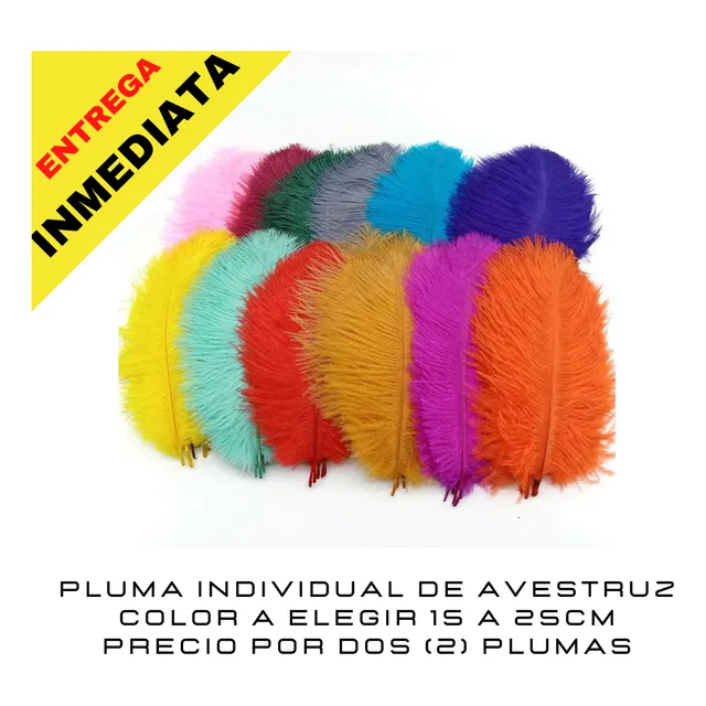 Pluma De Avestruz Color A Elegir 15 A 30cm