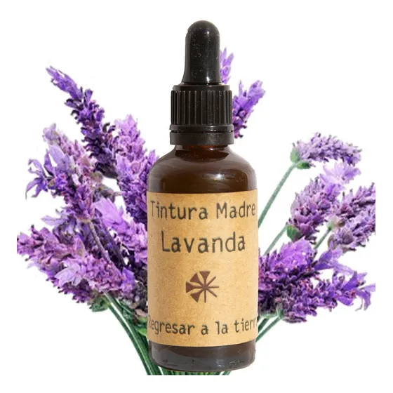 Tintura Madre Extracto Lavanda 50ml | Tónico Floral