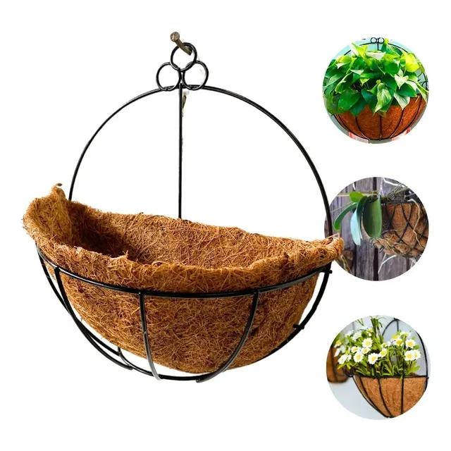 Macetero Muralla Palma De Coco Pak 3 Unidades 24cms