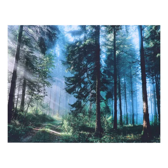 Padrão De Paisagem De Tapeçaria De Parede Para Acessórios Do