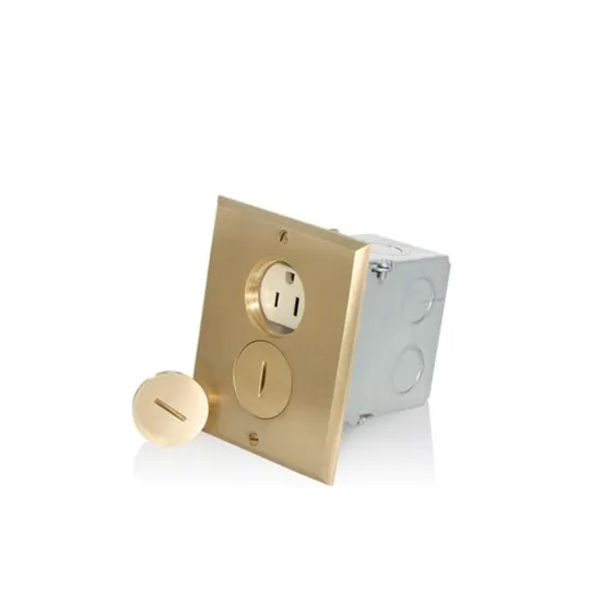 Toma Doble Para Piso Con Tapa Leviton 25249-fba