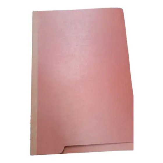 Carpeta Expediente 3 Divisiones